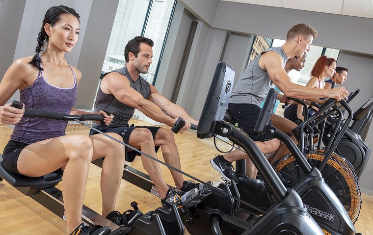 Официальное представительство Octane в России