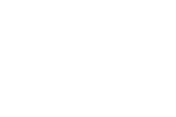 Официальное представительство Visbody в России
